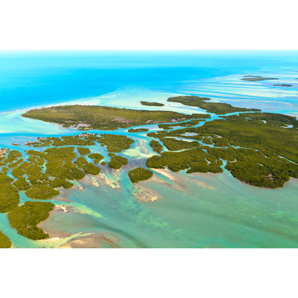 Floridakeyswallart Wayfair